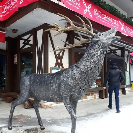 Διαμέρισμα Chalet Moulinette Centro
